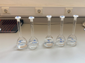 Caldas da Rainha 2025